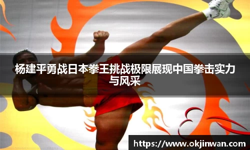 杨建平勇战日本拳王挑战极限展现中国拳击实力与风采